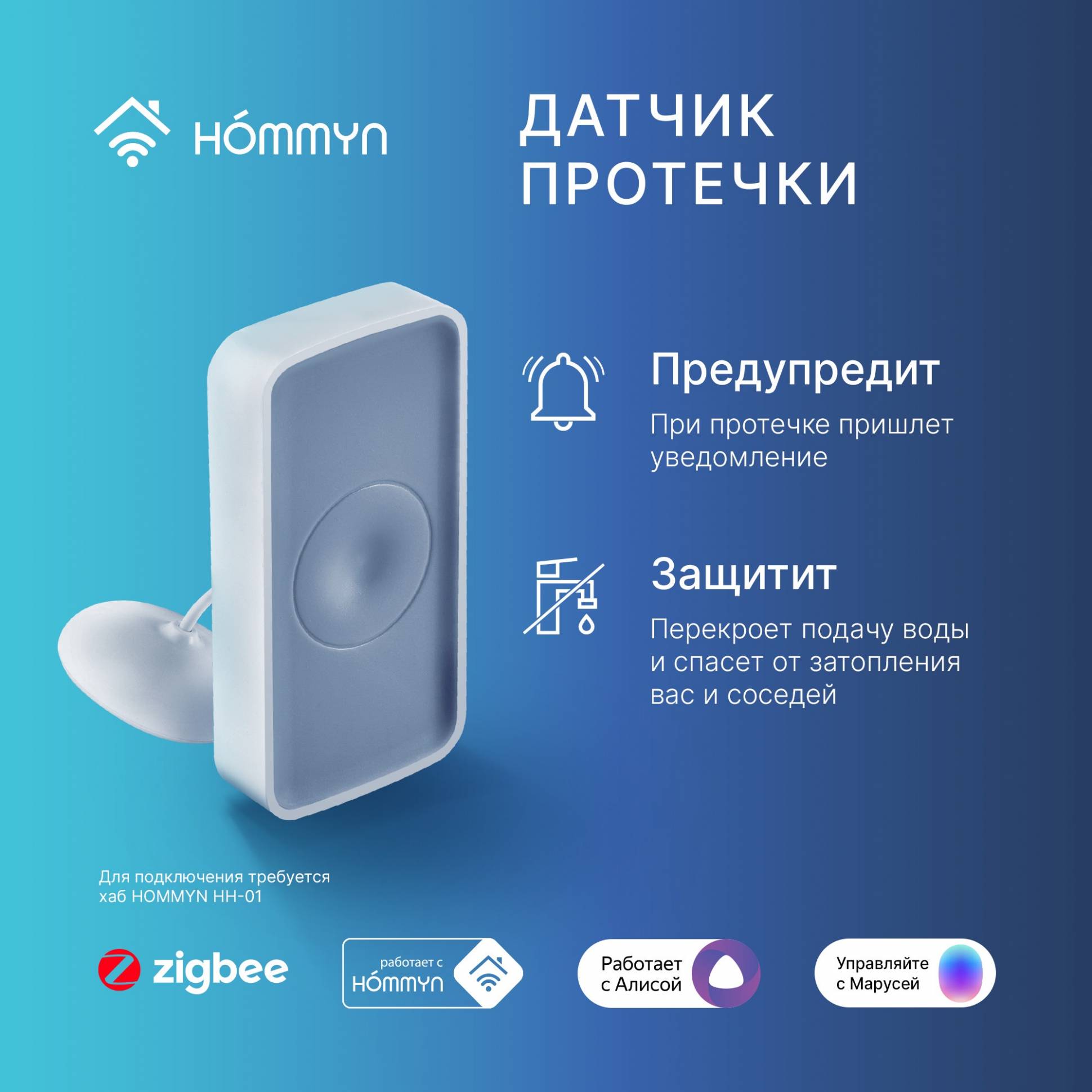 HOMMYN WS-20-Z արտահոսքի սենսոր