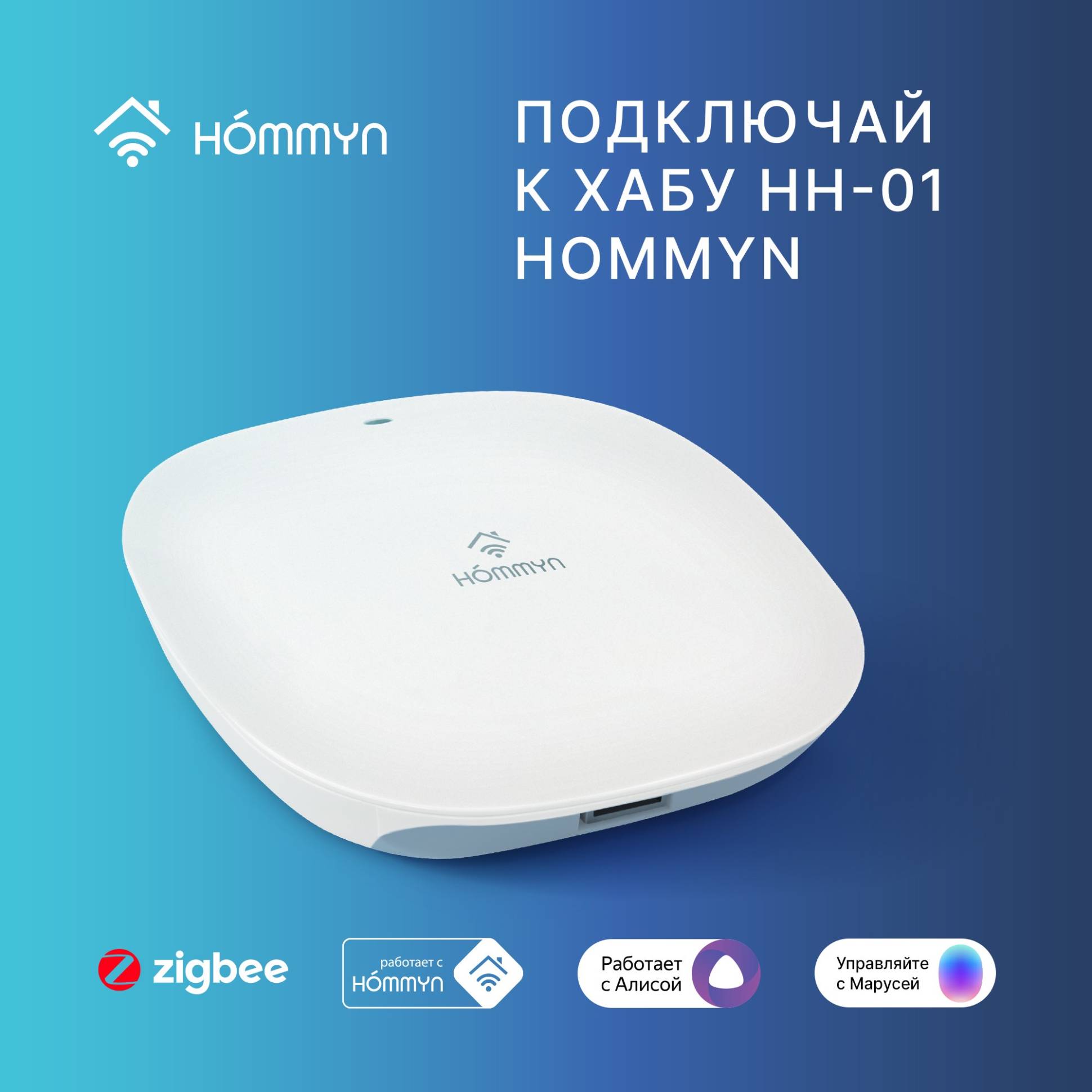 Ջերմաստիճանի և խոնավության սենսոր Hommyn TS-20-Z