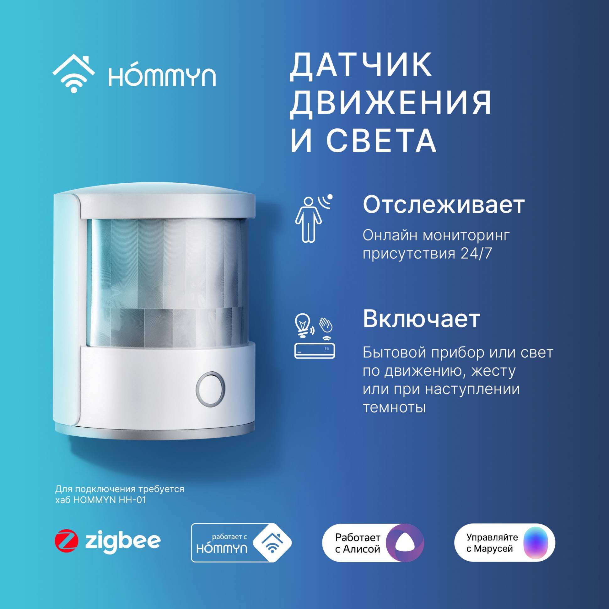 HOMMYN MS-21-Z շարժման և Լույսի սենսոր