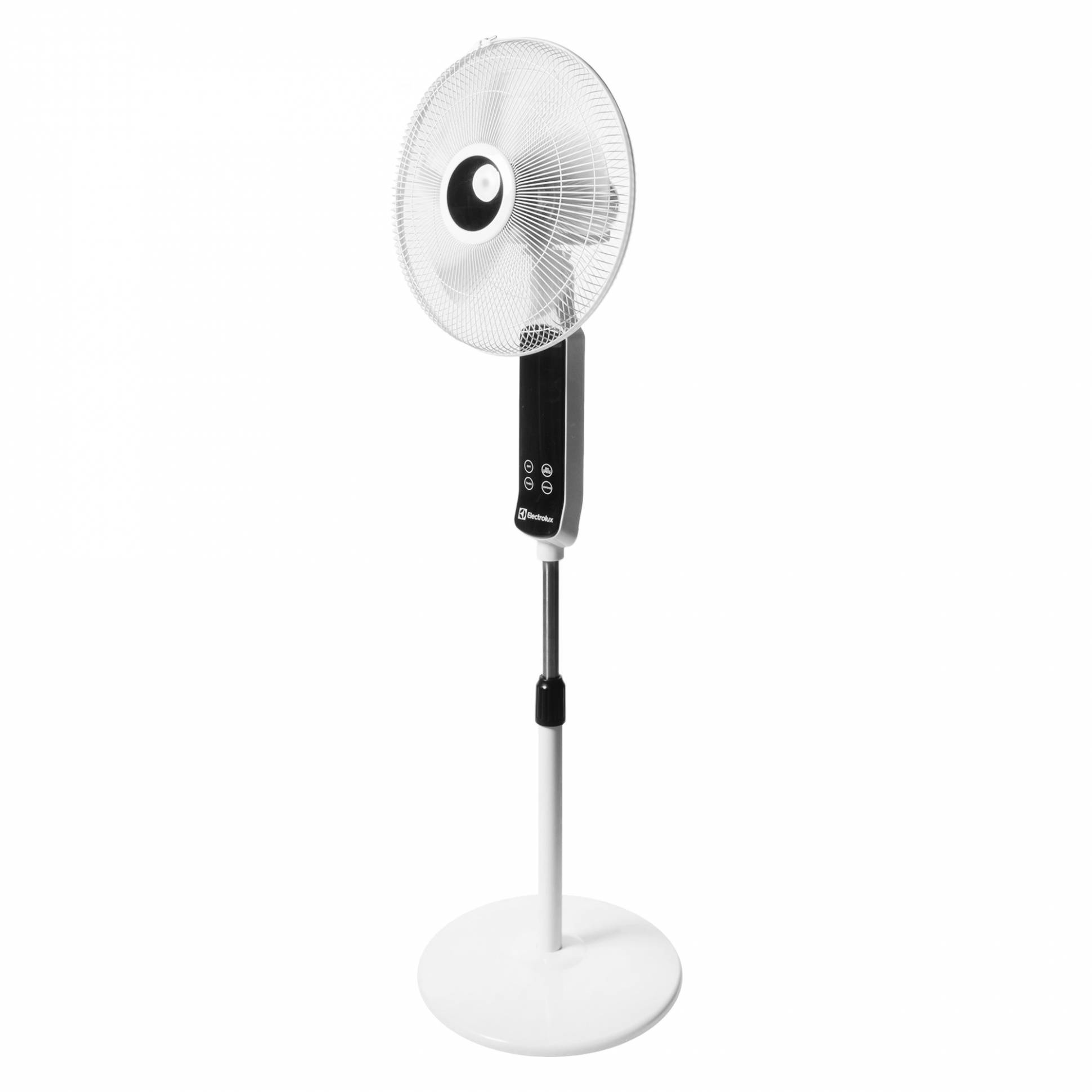 Electrolux EFF-901N հատակի օդափոխիչ