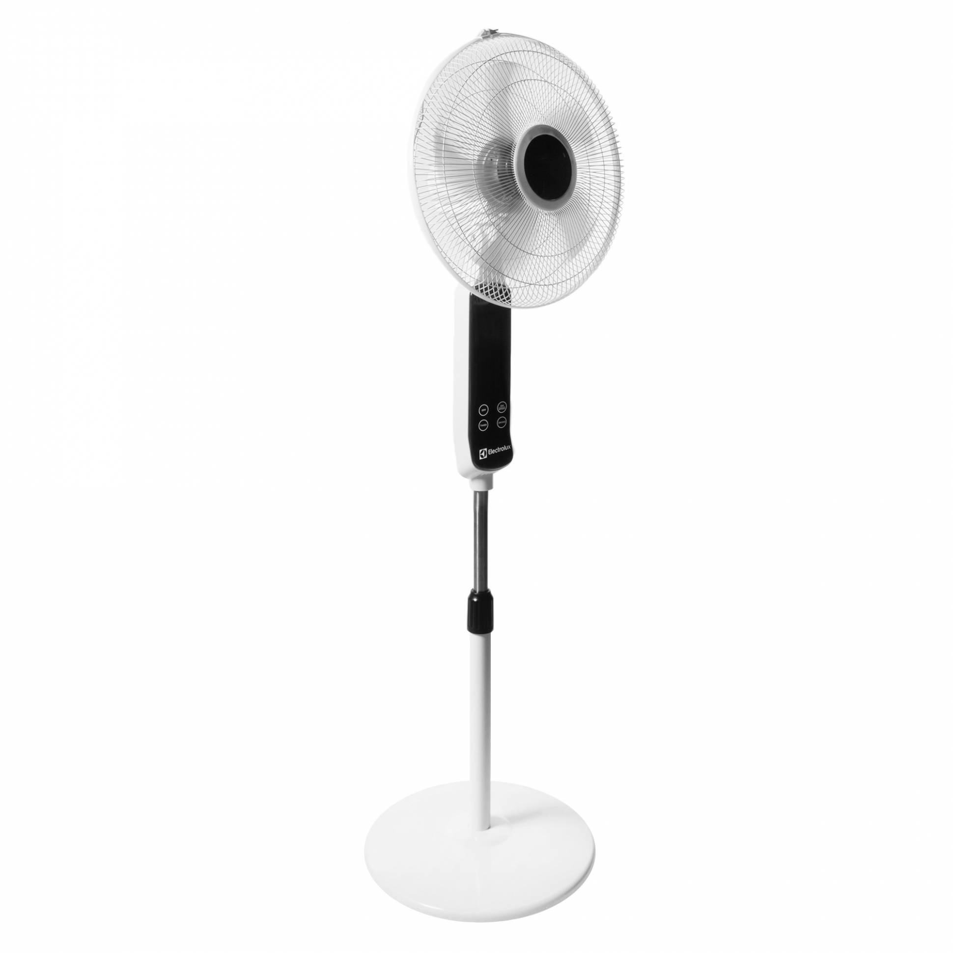 Electrolux EFF-901N հատակի օդափոխիչ