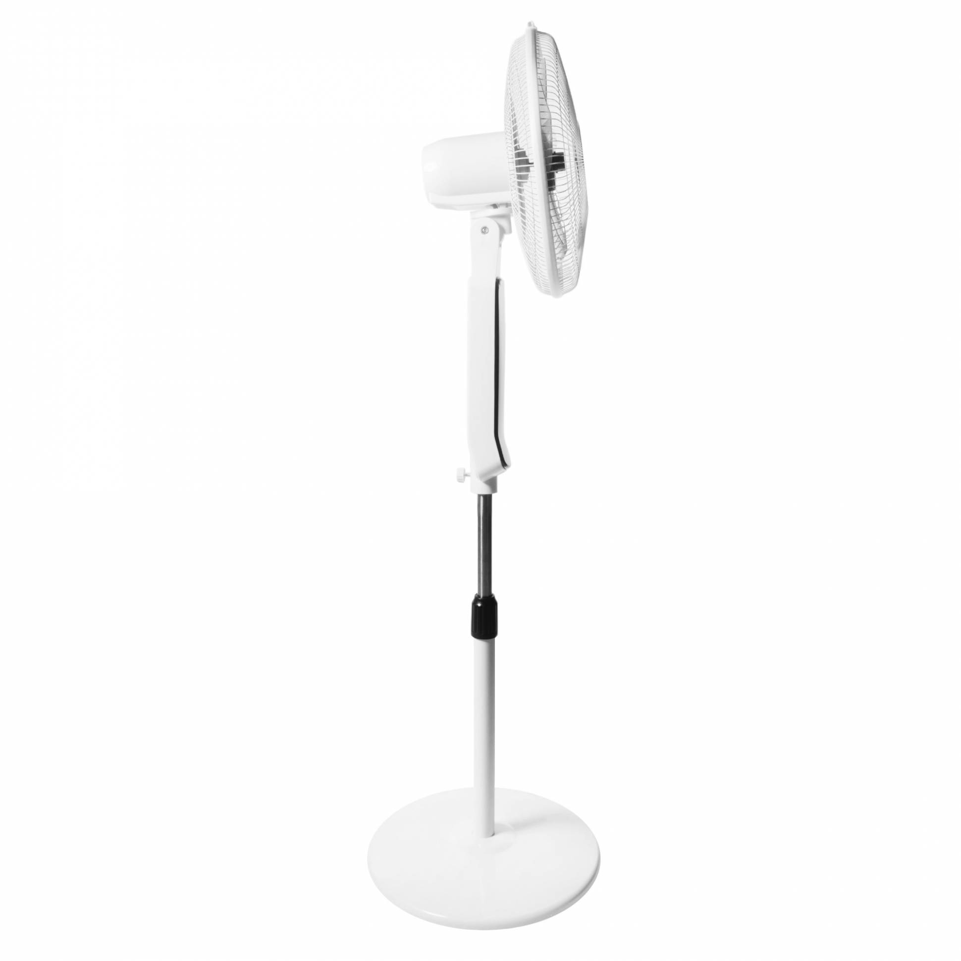 Electrolux EFF-901N հատակի օդափոխիչ