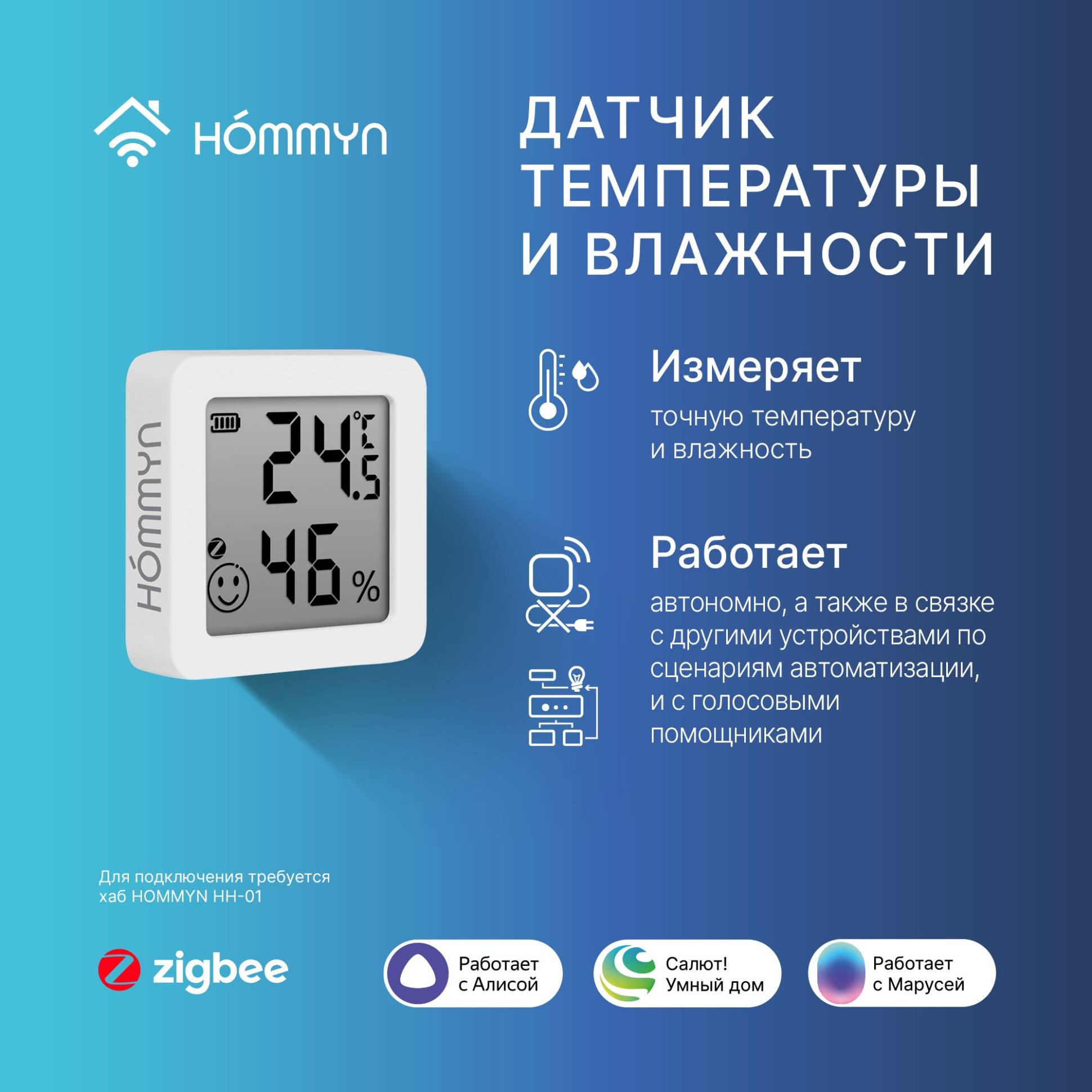 HOMMYN THS30ZB ջերմաստիճանի և խոնավության սենսոր