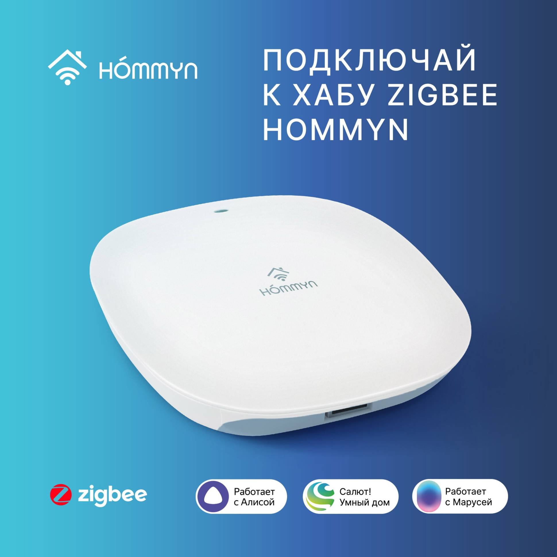 HOMMYN THS30ZB ջերմաստիճանի և խոնավության սենսոր