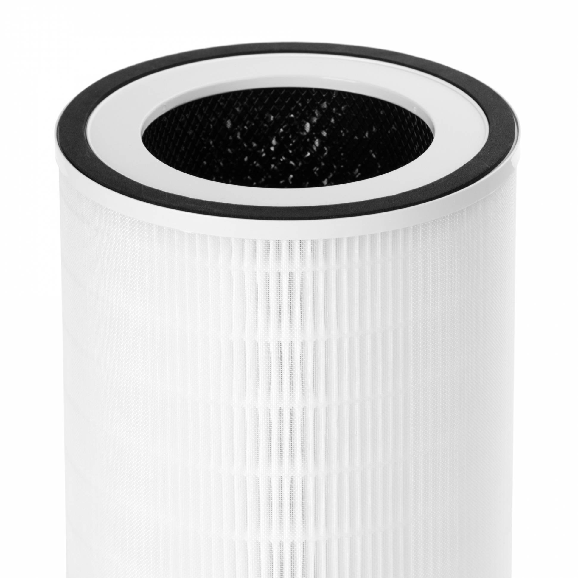 FAP-1016 ֆիլտրի հավաքածու Electrolux EAP-1016 օդի մաքրիչի համար