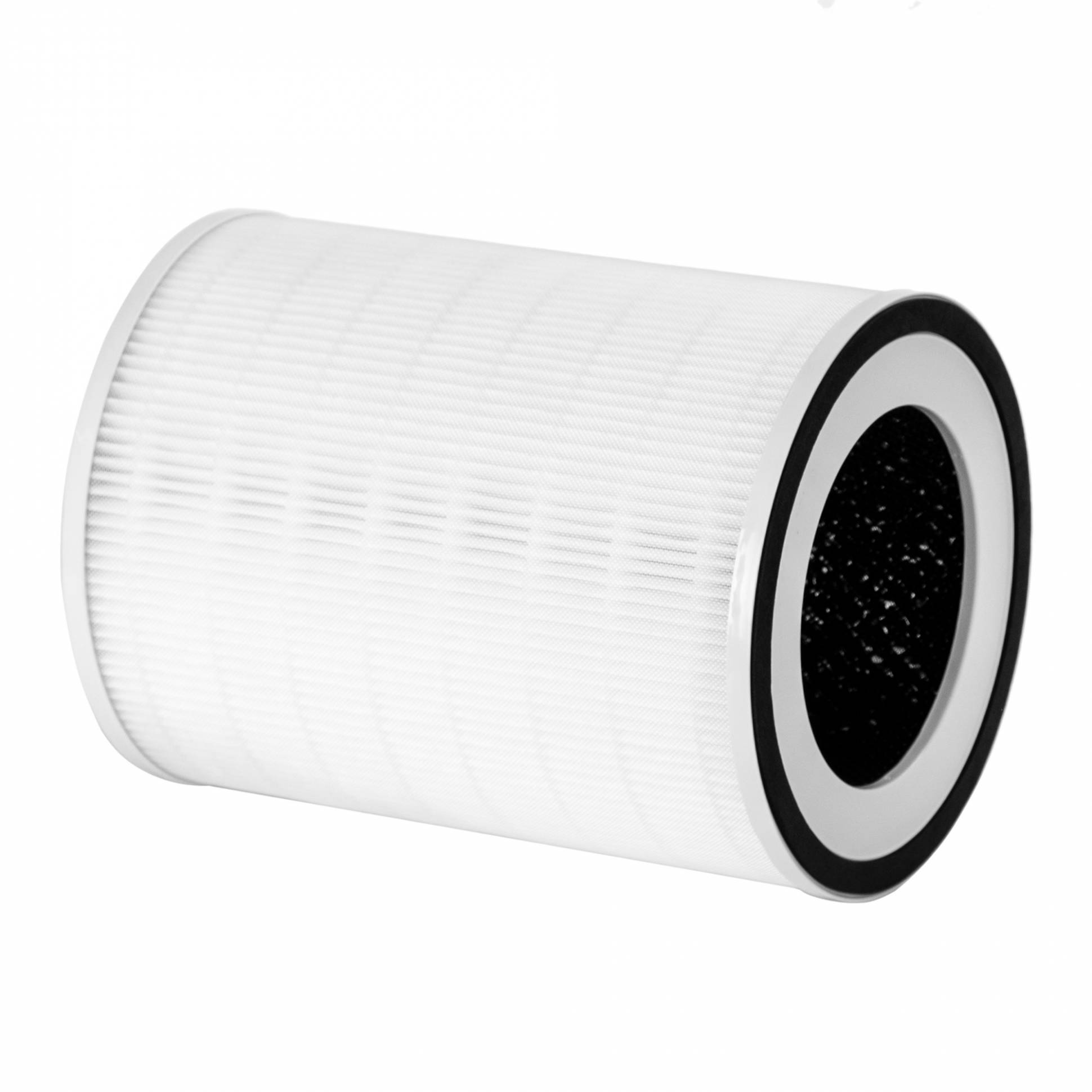 FAP-1016 ֆիլտրի հավաքածու Electrolux EAP-1016 օդի մաքրիչի համար
