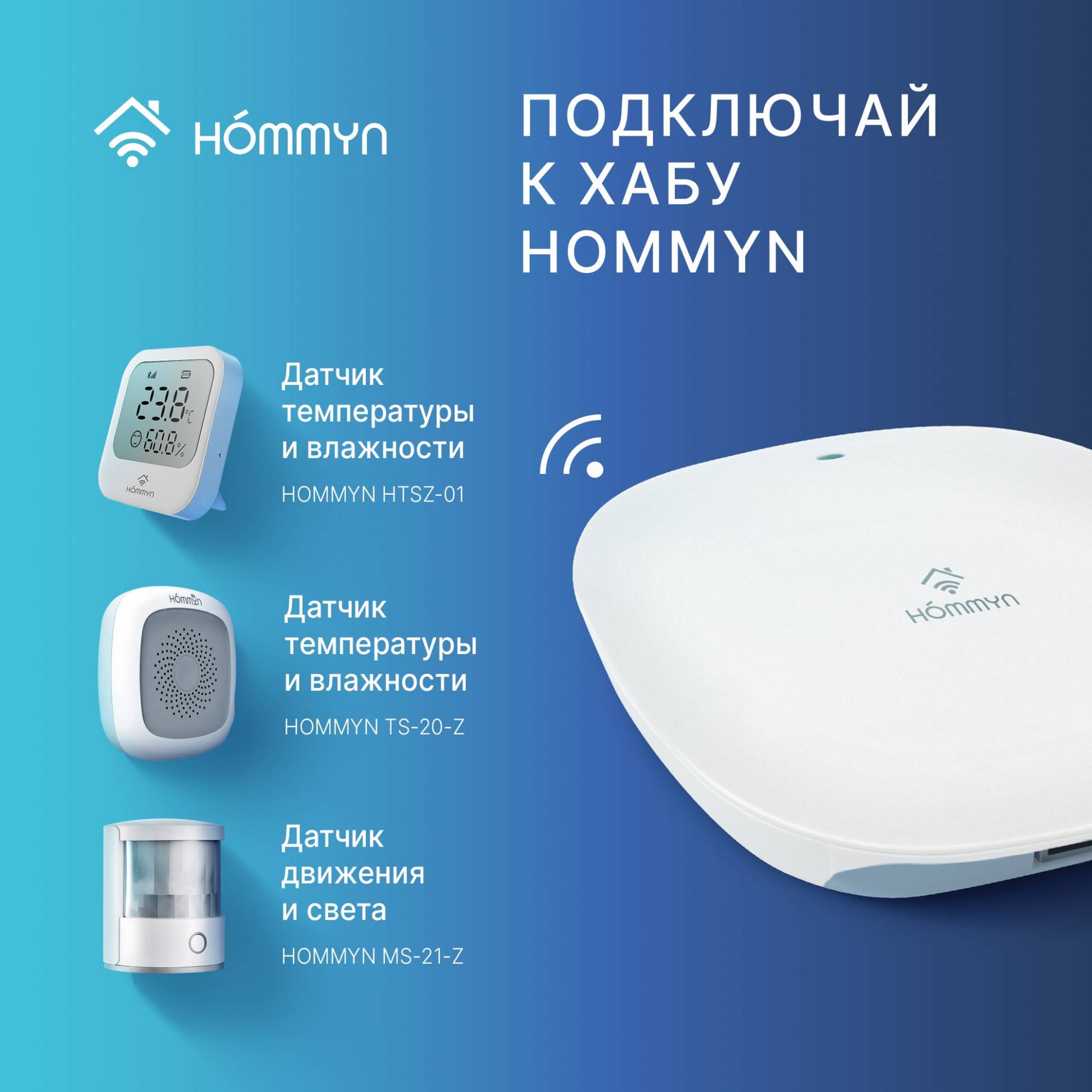 HOMMYN Hub HH-01 կառավարման միավոր (դարպաս) 