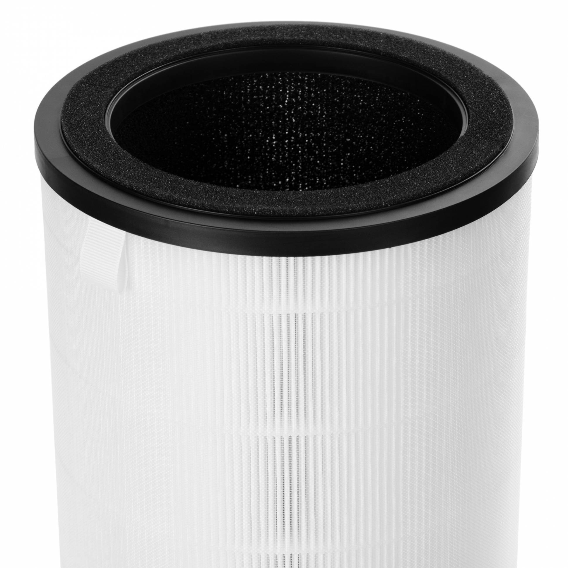 Electrolux FAP-2075 փոշու դեմ ֆիլտր